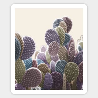 Pastel Cactus: Surreal photo in muted confetti colors Sticker